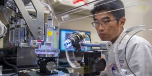 Bioprinting 3D: la stampa tridimensionale di tessuti biologici e organi