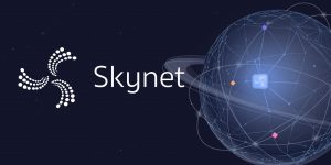 Skynet Core: il chip per supportare Blockchain e IoT
