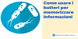 Come usare i batteri per memorizzare informazioni