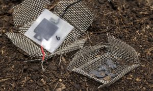 La batteria biologica e biodegradabile