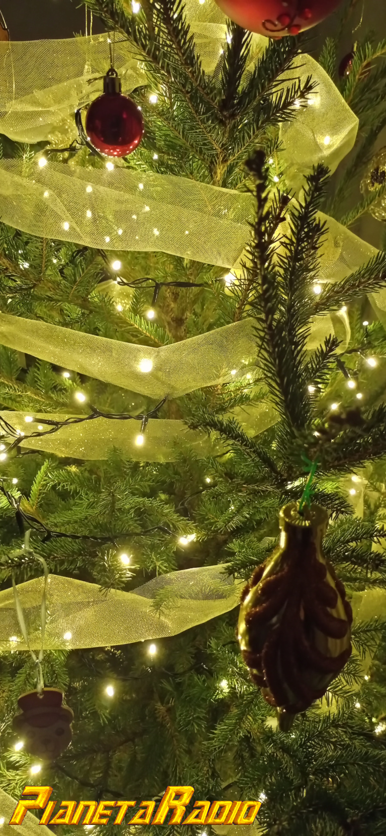 Auguri di buone Feste